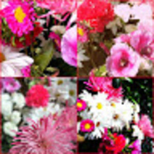 Meet your Posher, Jocelyn